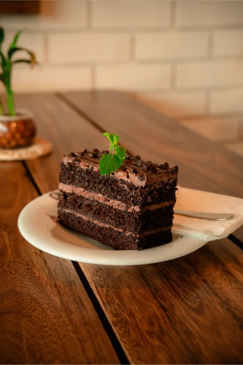 Double Chocolate Cake